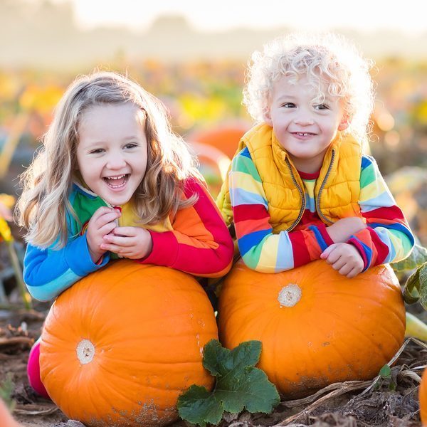Kids Picking Pumpkins On Halloween Pumpkin Patch