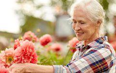Prepare your Garden for Spring | Damart Style Diaries